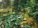 Huflattich - Marie Egner — widok dzieła