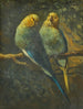 Papugi - Marinus Adrianus Koekkoek młodszy — widok dzieła