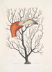 Caput Phoenicopteri Le bec du flamant dans ses dimensions complètes Keratophyton c - Mark Catesby — widok dzieła