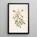 Mellivora c Le colibri Bignonia c La fleur trompette - Mark Catesby — oprawiony obraz na ścianie