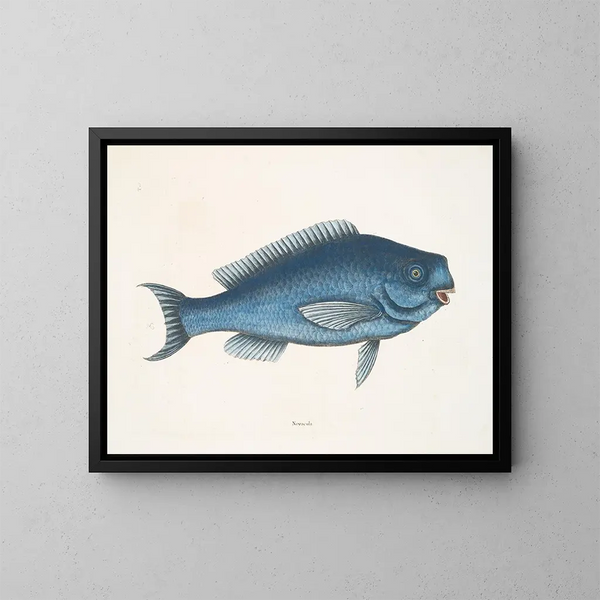 La Poisson bleu - Mark Catesby — oprawiony obraz na ścianie