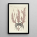 Piscium serpentum insectorum aliorumque nonnullorum animalum nec non plantarum quarundam imagines Pl035 - Mark Catesby — oprawiony obraz na ścianie