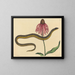 Le serpent de verre Anguis ventralis - Mark Catesby — oprawiony obraz na ścianie