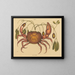 Le crabe terrestre Cancer ruricola - Mark Catesby — oprawiony obraz na ścianie