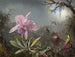 Orchidea Cattleya i trzy kolibry - Martin Johnson Heade — widok dzieła
