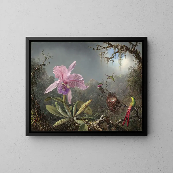 Orchidea Cattleya i trzy kolibry - Martin Johnson Heade — oprawiony obraz na ścianie