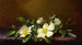Róże Cherokee na fioletowej tkaninie - Martin Johnson Heade — widok dzieła