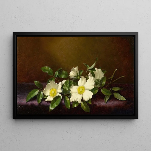 Róże Cherokee na fioletowej tkaninie - Martin Johnson Heade — oprawiony obraz na ścianie