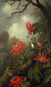 Koliber i passiflory - Martin Johnson Heade — widok dzieła