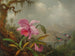 Orchidee i kolibry - Martin Johnson Heade — widok dzieła