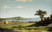 Rivage de Rhode Island - Martin Johnson Heade — widok dzieła