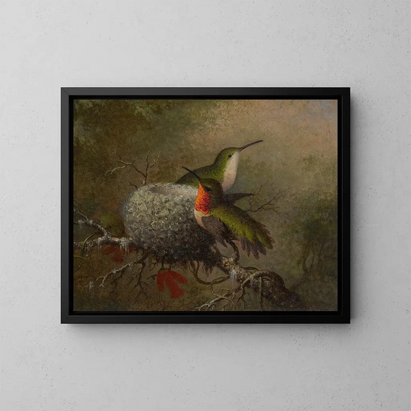 Dwie gorgory bliskie swojemu gniazdu - Martin Johnson Heade — oprawiony obraz na ścianie