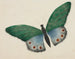 Papillon - Mary Altha Nims — widok dzieła