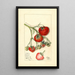 Fragaria Wooster - Mary Daisy Arnold — oprawiony obraz na ścianie