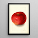 Malus domestica Wolf River - Mary Daisy Arnold — oprawiony obraz na ścianie