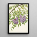 Glycine amerykańska Kraunhia frutescens - Mary Vaux Walcott — oprawiony obraz na ścianie