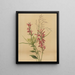 Fleur cardinale Lobelia cardinalis - Mary Vaux Walcott — oprawiony obraz na ścianie