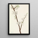 Prunier Chickasaw Prunus angustifolia - Mary Vaux Walcott — oprawiony obraz na ścianie