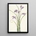 Clusterlily Hookera pauciflora - Mary Vaux Walcott — oprawiony obraz na ścianie