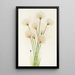 Linaigrette Eriophorum chamissonis - Mary Vaux Walcott — oprawiony obraz na ścianie