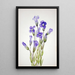 Gentiane frangée Gentiana elegana - Mary Vaux Walcott — oprawiony obraz na ścianie