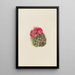 Cactus hérisson Coryphantha arizonica - Mary Vaux Walcott — oprawiony obraz na ścianie