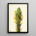 Agave lechuguilla - Mary Vaux Walcott — oprawiony obraz na ścianie