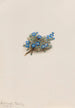 Myosotis des mousses Eritrichum elongatum - Mary Vaux Walcott — widok dzieła