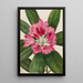 Rhododendron des montagnes Rhododendron catawbiense - Mary Vaux Walcott — oprawiony obraz na ścianie