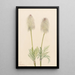 Anémone plume Pulsatilla occidentalis - Mary Vaux Walcott — oprawiony obraz na ścianie