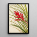 Tillandsia fasciculée - Mary Vaux Walcott — oprawiony obraz na ścianie