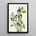 Salix vestita - Mary Vaux Walcott — oprawiony obraz na ścianie