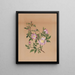 różowy mauve Hibiscus moscheutos - Mary Vaux Walcott — oprawiony obraz na ścianie
