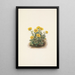 Potentilla w rozetce Potentilia uniflora - Mary Vaux Walcott — oprawiony obraz na ścianie