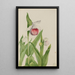 Sabot de la Vierge Cypripedium reginae - Mary Vaux Walcott — oprawiony obraz na ścianie
