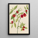 węglem z Ameryki - Mary Vaux Walcott — oprawiony obraz na ścianie