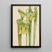 żółtej sarracenia Sarracenia flava - Mary Vaux Walcott — oprawiony obraz na ścianie