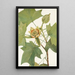 Tulipier de Virginie Liriodendron tulipifera - Mary Vaux Walcott — oprawiony obraz na ścianie