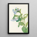 Mertensia virginica - Mary Vaux Walcott — oprawiony obraz na ścianie