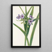 Tradescantia Virginie - Mary Vaux Walcott — oprawiony obraz na ścianie