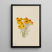Zinnia Zinnia grandiflora - Mary Vaux Walcott — oprawiony obraz na ścianie