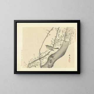 Matsumura Keibun - Plum and Japanese bushwarbler.webp