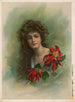 Poinsettia - Meek & Co.. — widok dzieła