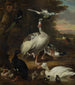 Ptaki - Melchior d'Hondecoeter — widok dzieła