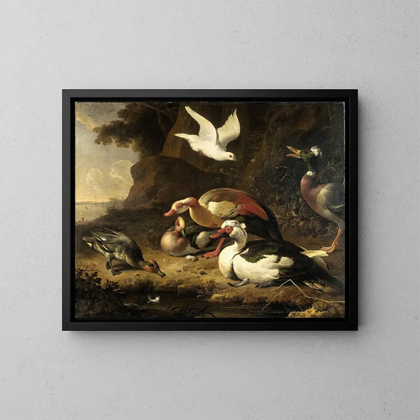 Kaczki - Melchior d'Hondecoeter — oprawiony obraz na ścianie