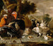 Podwórko - Melchior d'Hondecoeter — widok dzieła