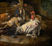 martwa natura z kogutem - Melchior d'Hondecoeter — widok dzieła