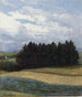 À Stephanskirchen - Michael Licklederer — widok dzieła