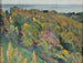 Studium krajobrazu - Mikhail Nesterov — widok dzieła