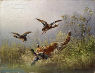 Moritz Mller - Fox Chasing Ducks.webp